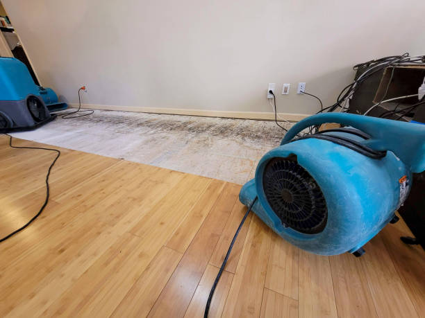 Professional Water Damage Repair technician working in Ellinger, TX